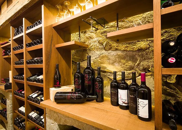 酒店 莱特纳酒店 4*